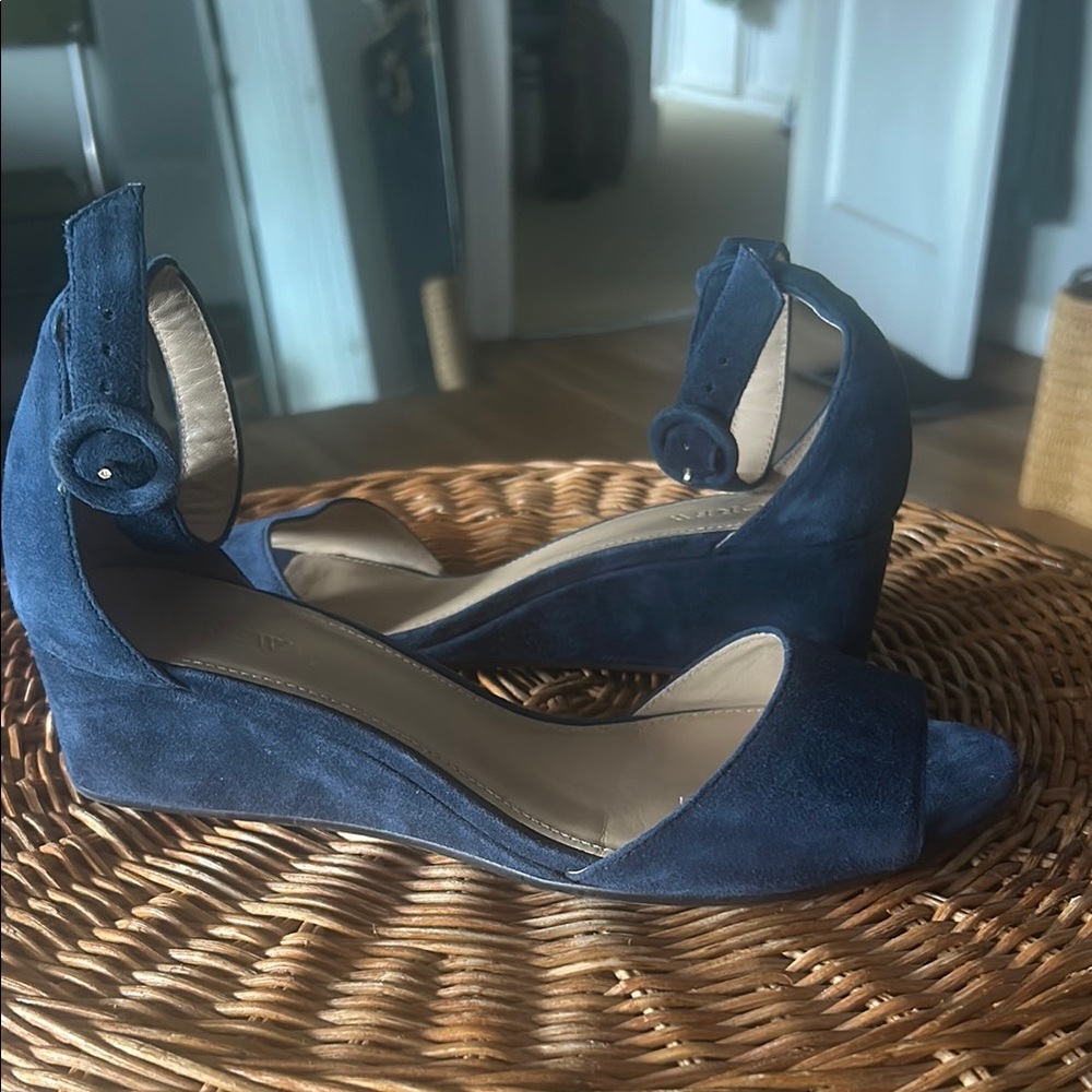 J Crew Suede Wedge Sandals